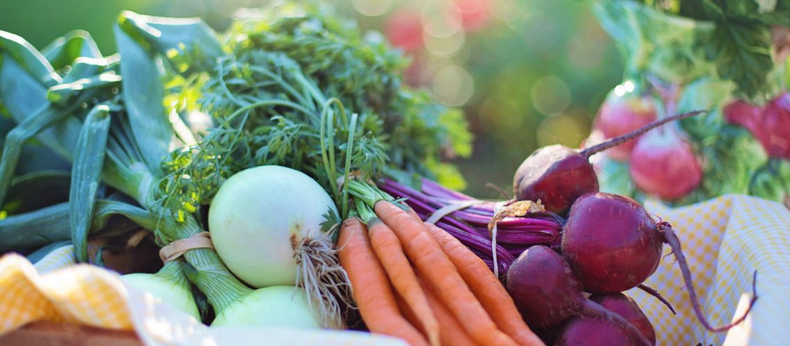 beets-carrots-close-up-533360